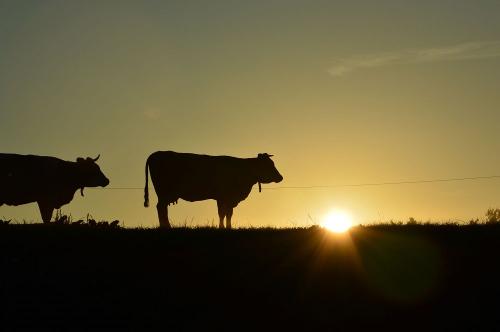 Sonnenaufgang