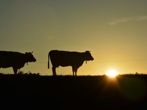 Sonnenaufgang