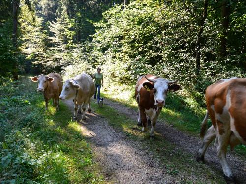 Unterwegs
