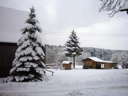 winter1
