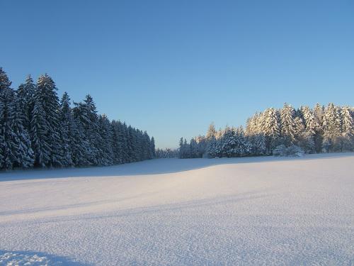 winter4