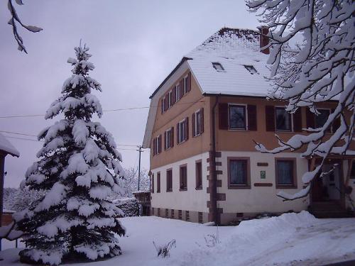 winter3