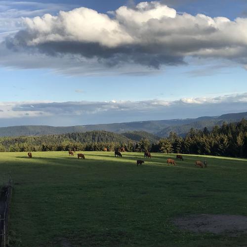 himmel