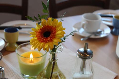 blume