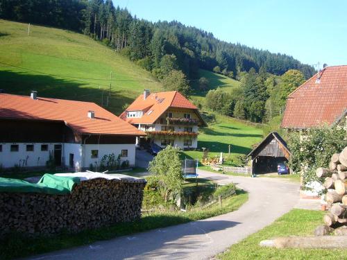 Vollmershof Hofbild