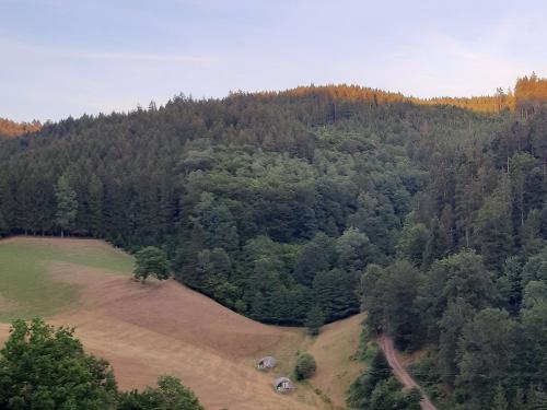 Natur pur