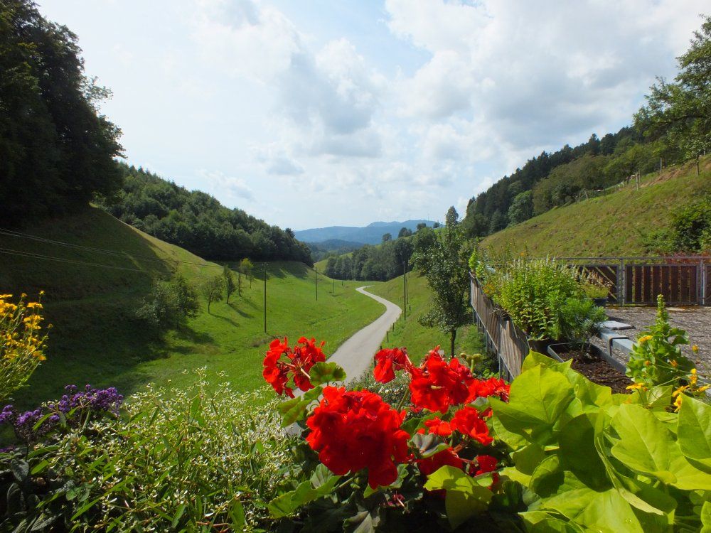 Blick ins Tal
