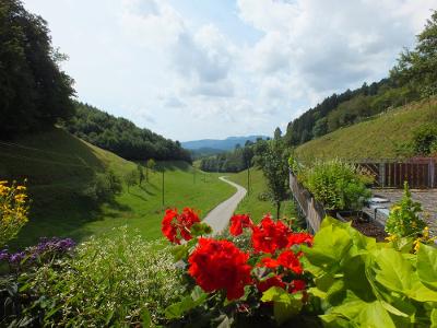 Blick ins Tal