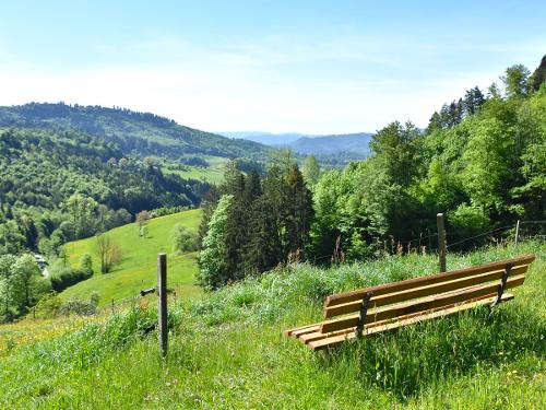 Ausblick