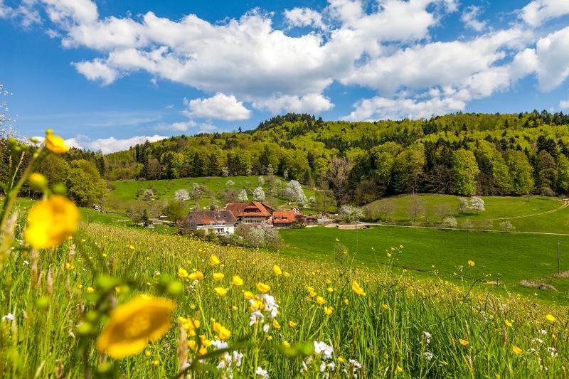 Frühling auf dem Sesterhof