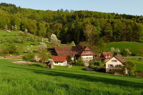 Sesterhof in Gengenbach