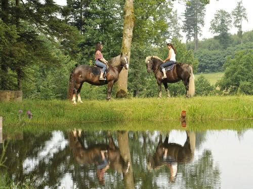 Schwarzwälder Pferde