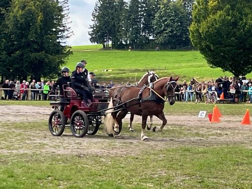 Schauprogramm in St. Märgen