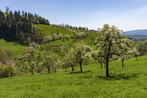 Oberer Schwärzenbachhof