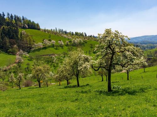 Oberer Schwärzenbachhof