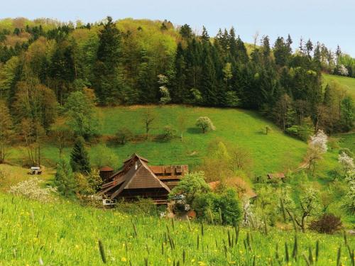 Oberer Schwärzenbachhof