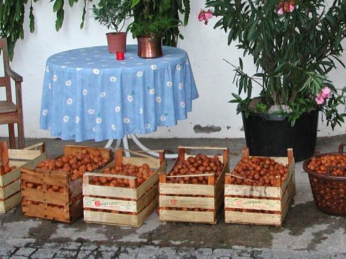 Oberer Schwärzenbachhof