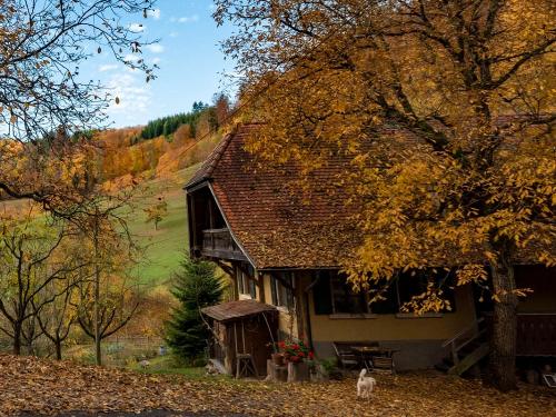 Oberer Schwärzenbachhof