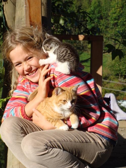 Katzenfreunde