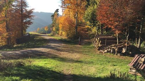 Herbstfarben