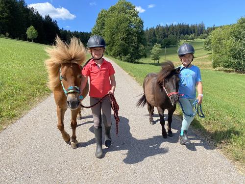 Pony Führen
