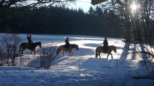 Reiten im Winter