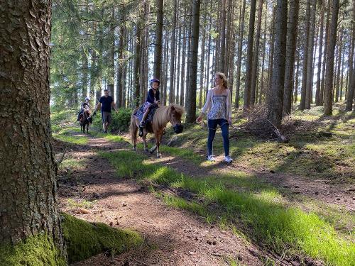 Wald Reiten