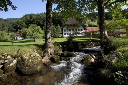 Ein schönes Plätzchen am Bach