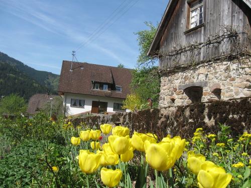 Frühling auf dem Schingerhof
