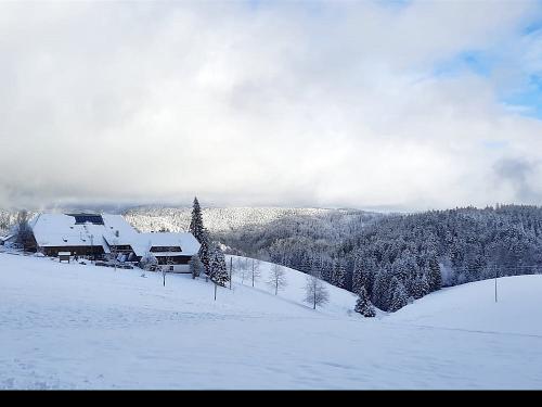 Winter auf dem Vogelhof
