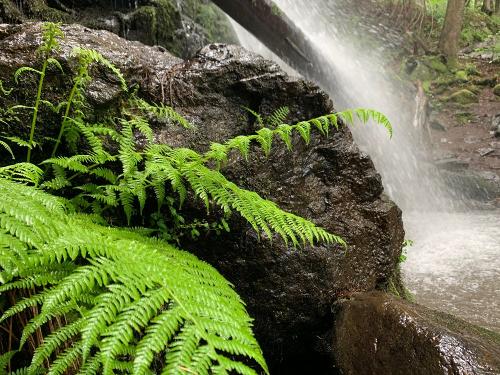 Zweribacher Wasserfälle
