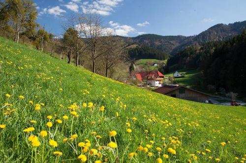 blick_auf_hof