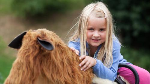 reiten