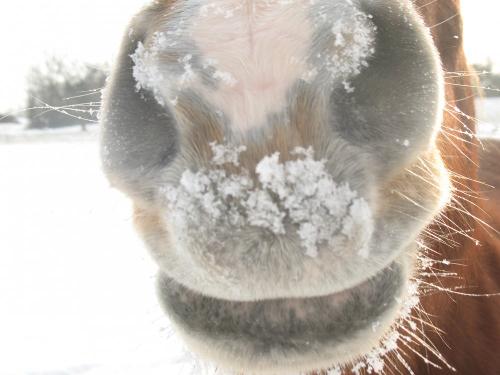 Winterzeit