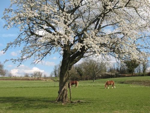 Aussicht von Fewo