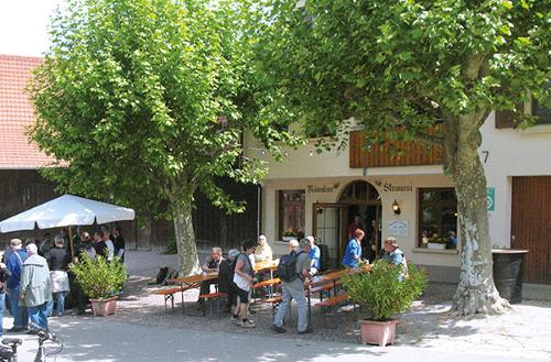Männlins Straussi