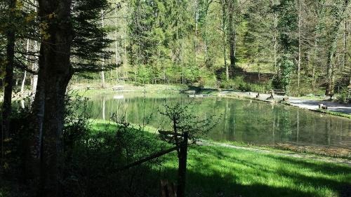 Angelteich Ellwangen