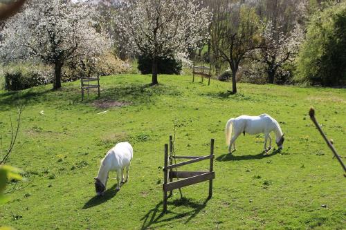 Ferienhof Heiss - ländliche Idylle
