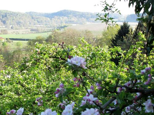 Ferienhof Heiss - Apfelblüte