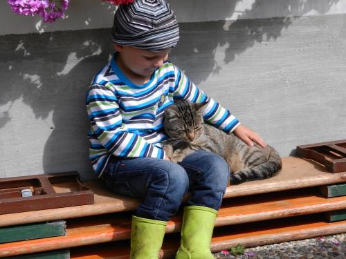 unser Schmusekater "Sammy" mit Mirco