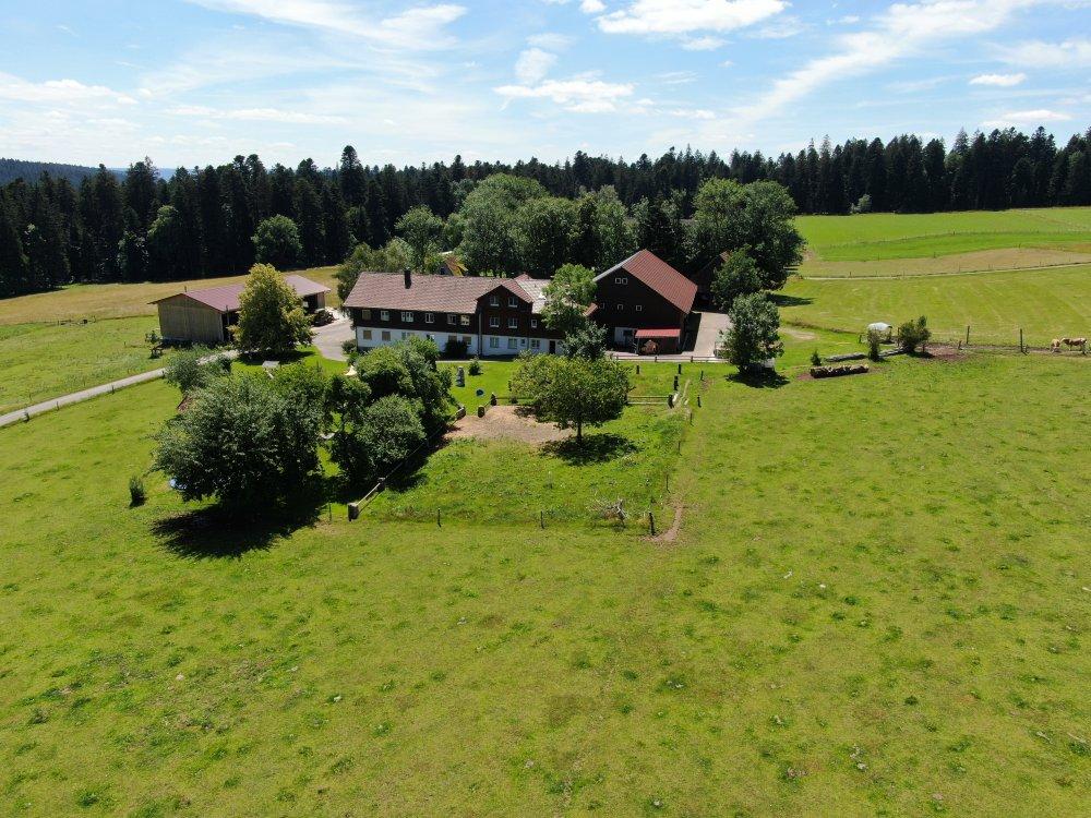 Herzlich willkommen auf dem Gutshof Armbruster