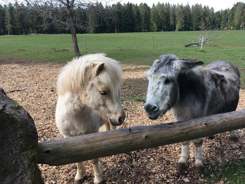 Anton und Paul
