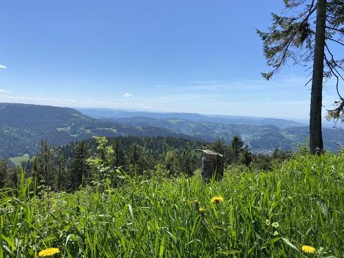 Sonnige Höhen - Weite Täler