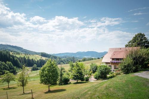blickaufhof