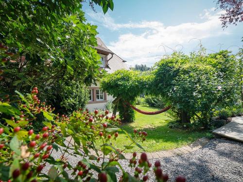 Hängematte bei der Schnäpsle Terrasse Hängematte bei der Schnäpsle Terrasse