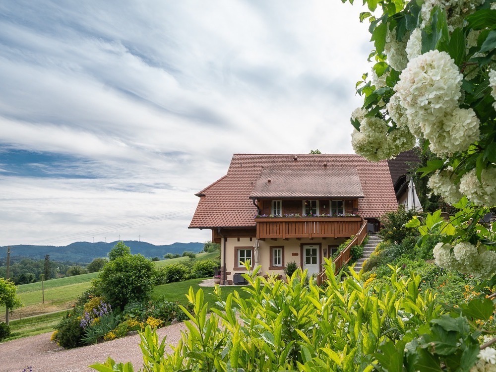 Blick ins Kinzigtal Blick ins Kinzigtal