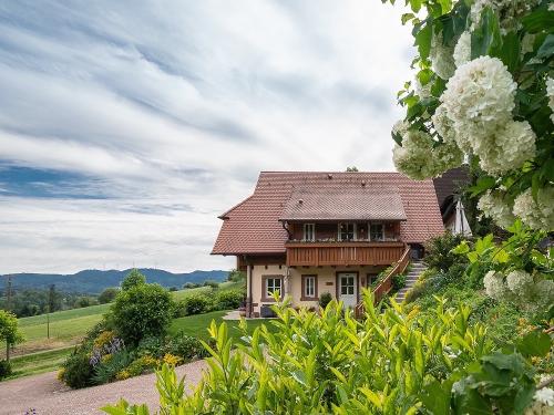 Blick ins Kinzigtal Blick ins Kinzigtal