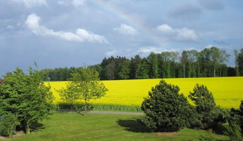 landschaft-fav