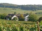 winzerhof_brand_gid_29282