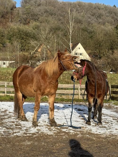 Quennie und Quendelin